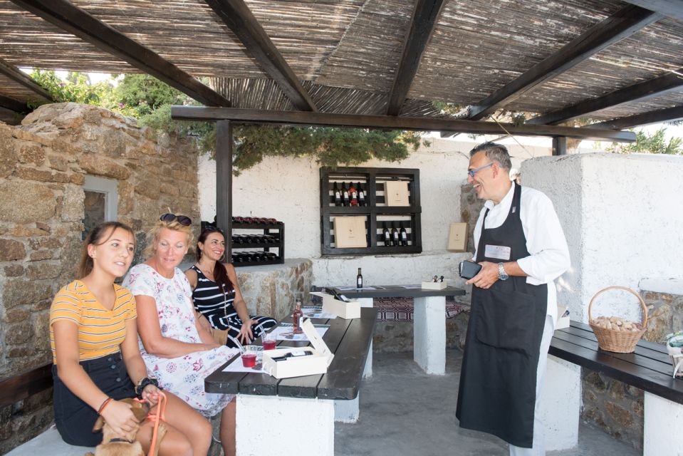 Mykonos: Wine Tasting at a Mykonian Farm - Activity Details