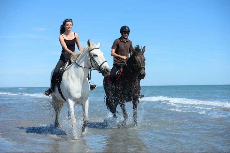 Paros: Island Horseback Riding Adventure - Activity Details