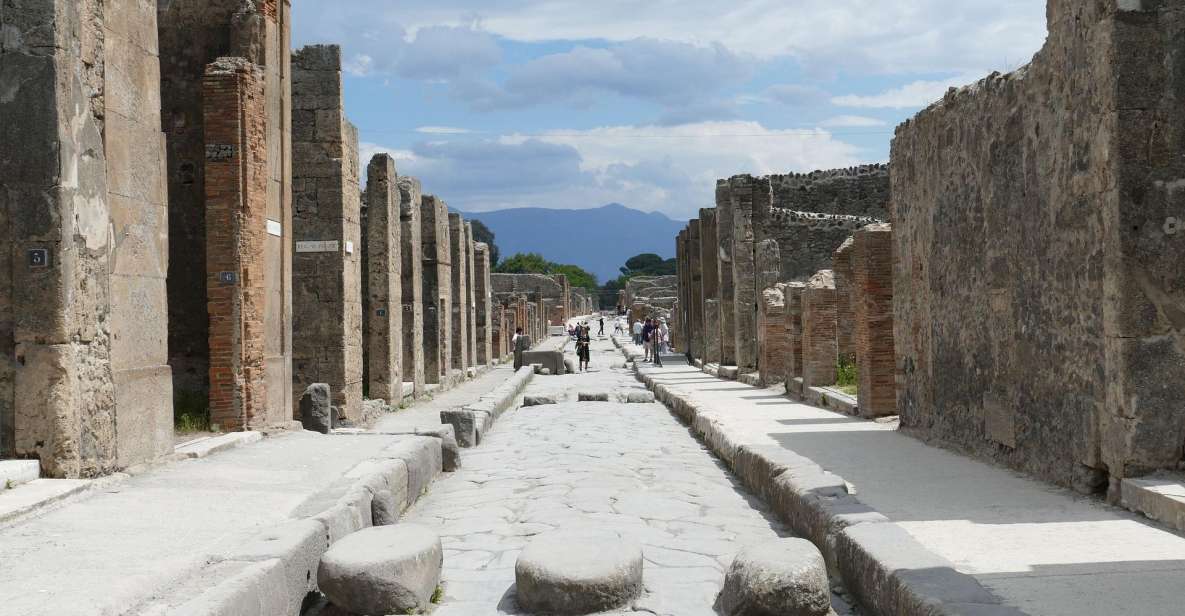 Pompeii and Mount Vesuvius Wine Tasting Private Tour - Key Points