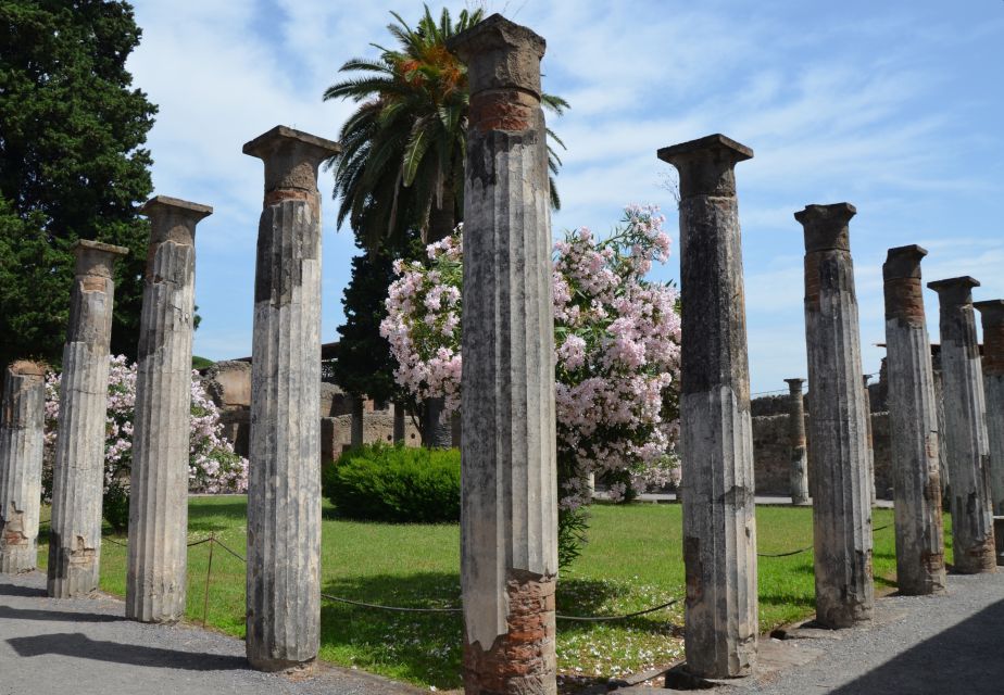 Private 2.5-Hour Pompeii Tour - Key Points