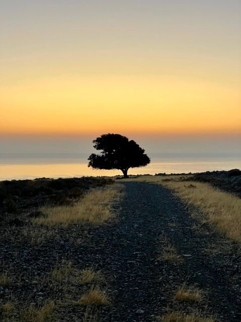 Rhodes: Pefkos-Navarone Bay, “The Magic of Sunrise” - Tour Details