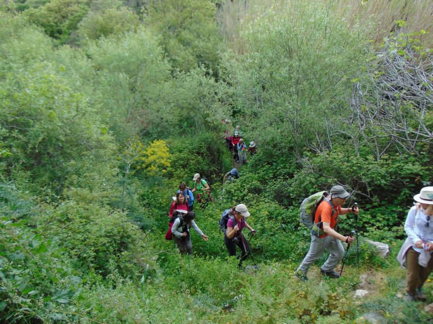 Tinos: Tarampados to Komi Guided Hiking Tour - Tour Overview