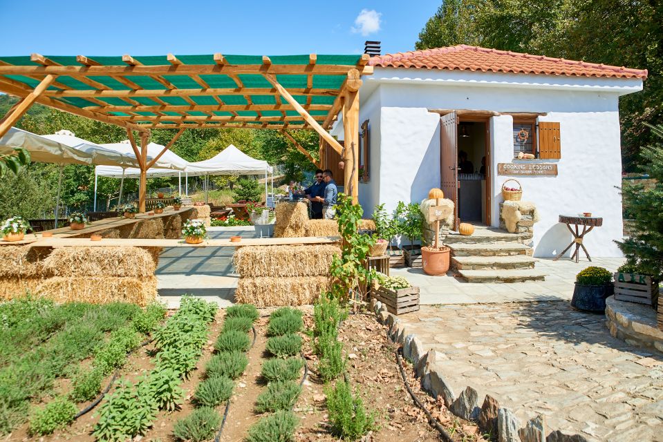 Volos: Cook Like a Local at a Greek Farm - Farm Location and Setting