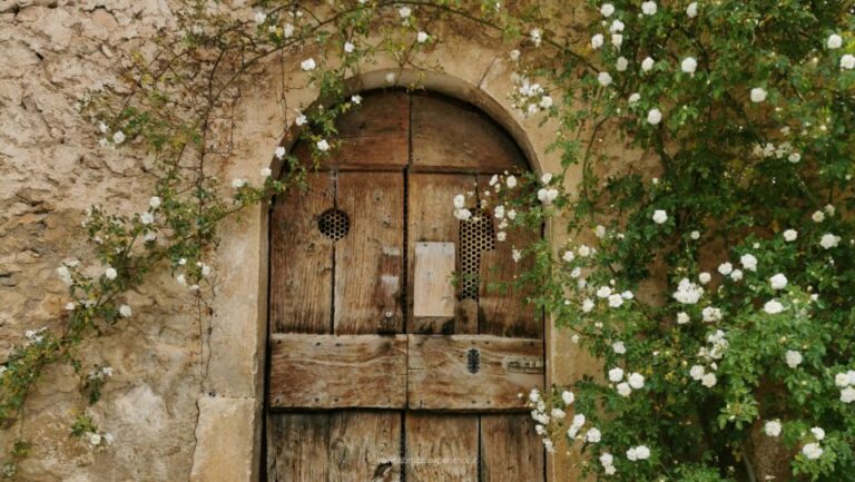 Abruzzo of Ladyhawke From Rome (Summer Version)