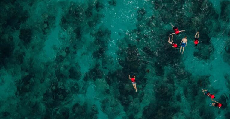 Chania: Guided Snorkeling and Boat Excursion