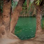 1 crete preveli tropical beach and palm forest Crete: Preveli Tropical Beach and Palm Forest