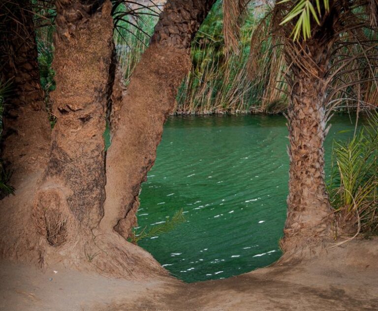 Crete: Preveli Tropical Beach and Palm Forest