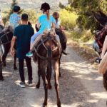 1 donkey ride cretan country Donkey Ride - Cretan Country