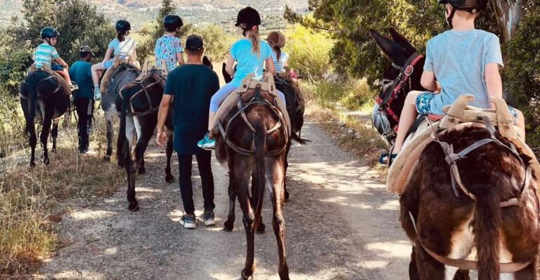 Donkey Ride – Cretan Country