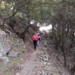 1 from bova private trek to aspromonte national park From Bova: Private Trek to Aspromonte National Park