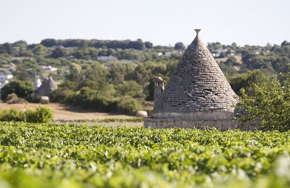 From Lecce: Full-Day Valle Ditria Tour With Guide