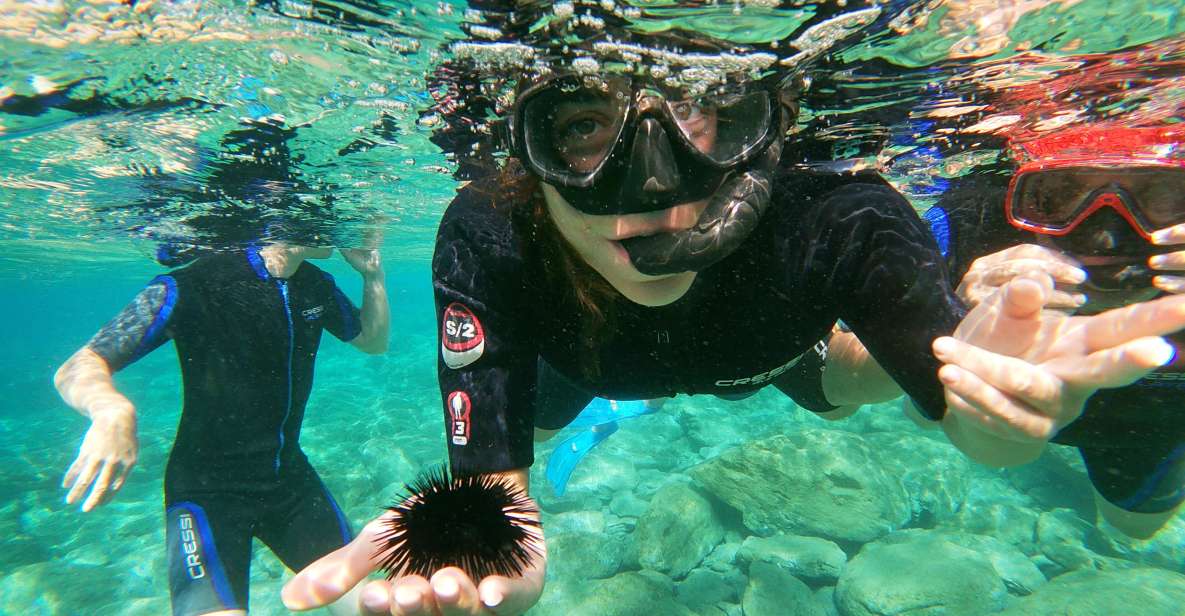 Heraklion: Beginner-Friendly Snorkeling Trip - Duration and Group Size