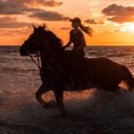 1 kos horse riding experience on the beach with instructor Kos: Horse Riding Experience on the Beach With Instructor