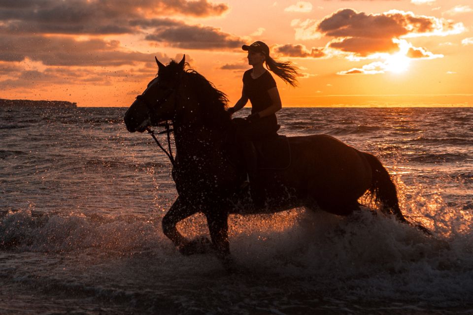 1 kos horse riding experience on the beach with instructor Kos: Horse Riding Experience on the Beach With Instructor