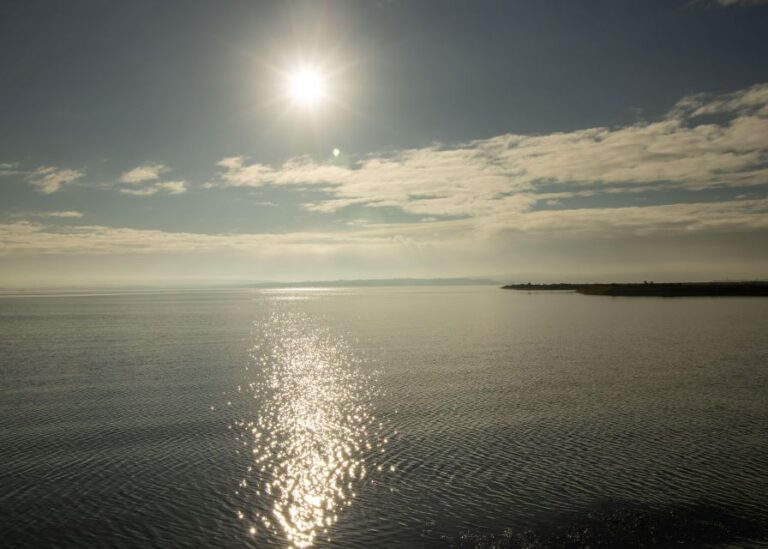 New Forest Discovery Walk (Lymington)