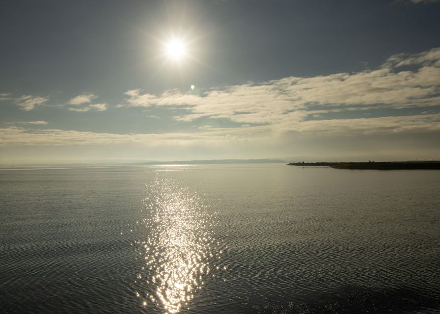 1 new forest discovery walk lymington New Forest Discovery Walk (Lymington)