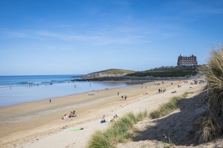 Newquay: Introduction to Surfing Lesson