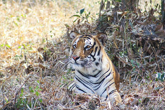 Private 9-Day Tour: Golden Triangle Plus Ranthambore Park  – New Delhi