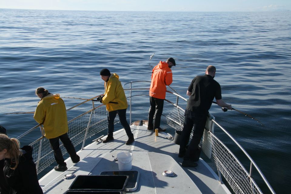 1 reykjavik 3 hour sea angling gourmet experience tour Reykjavik: 3-Hour Sea Angling Gourmet Experience Tour