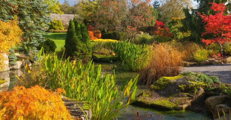 Royal Horticultural Society: Harlow Carr Garden Ticket