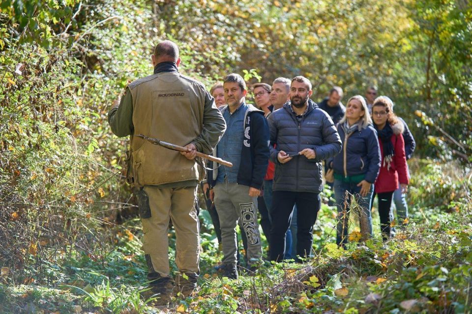 Siena – Truffle Hunting in the Sienese Woods With Tasting