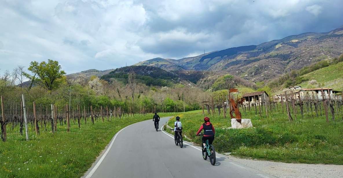 1 valdobbiadene hills e bike tour with foodwine tasting Valdobbiadene Hills: E-Bike Tour With Food&Wine Tasting