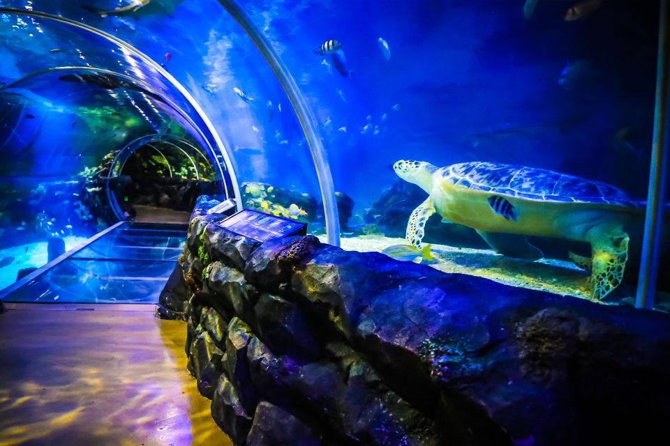 Birmingham: National Sea Life Centre Entrance Ticket - Experience Highlights