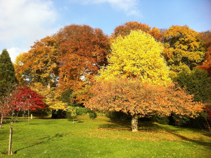 Birmingham: Winterbourne House and Garden Admission Ticket - Cancellation Policy