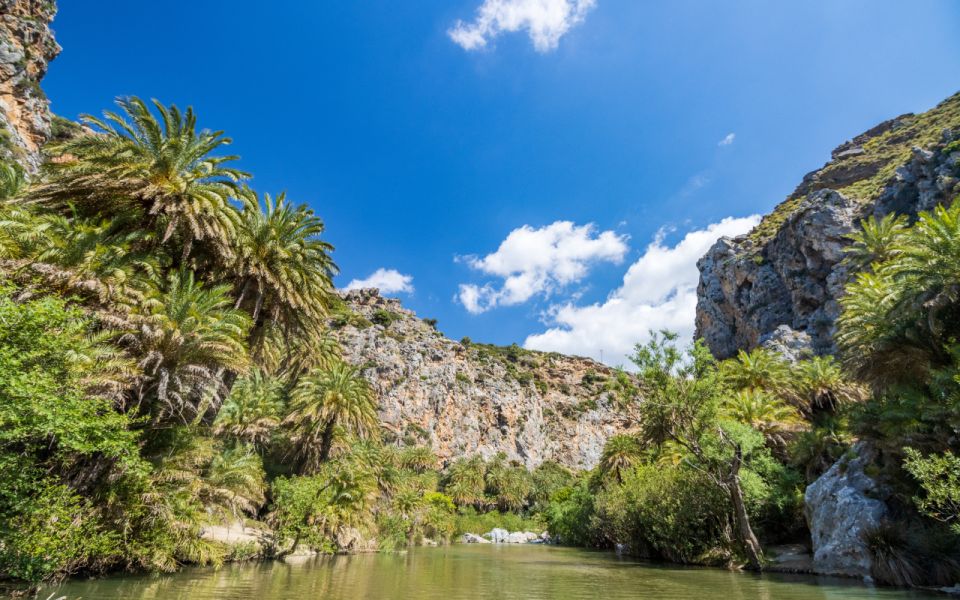 Explore Preveli Palms, Damnoni Beach & Historic Rethymno - Inclusions