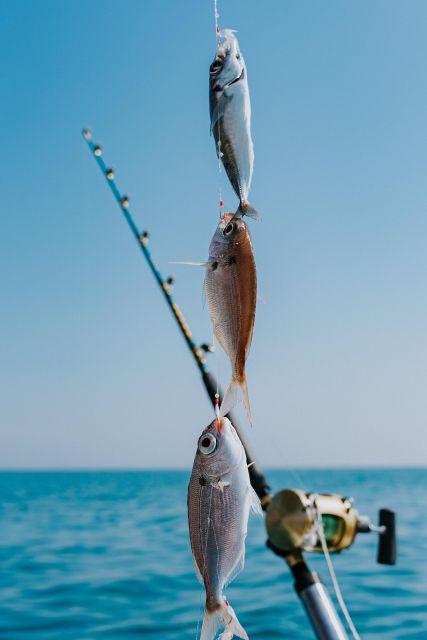 Family Fishing Fun With Nautica Massetti - Experience Description