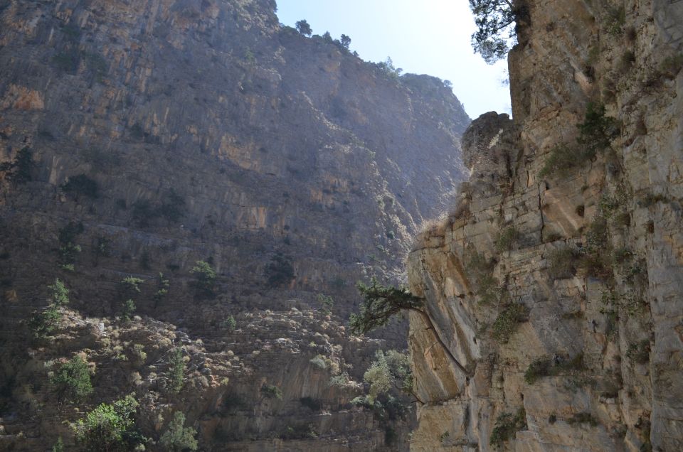 From Chania : Full-Day Samaria Gorge Hike - Inclusions