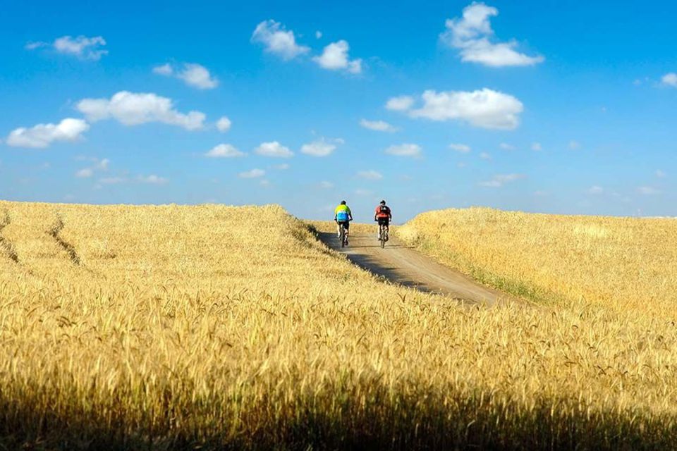 From Florence: Tuscany by E-Bike With Lunch and Wine Tasting - Cost and Duration