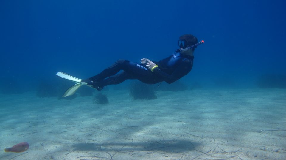 From Kos: Pserimos Island Snorkeling Cruise by Diving Boat - Important Information