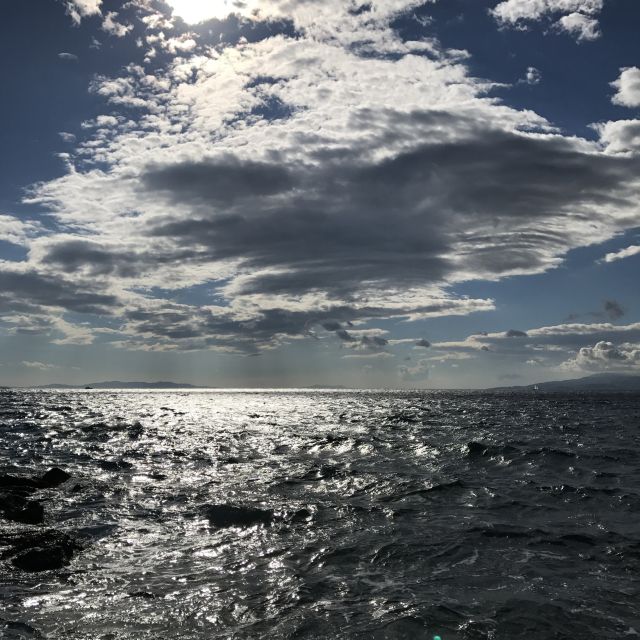 From Mykonos: Paradise Beach Boat Trip - Inclusions