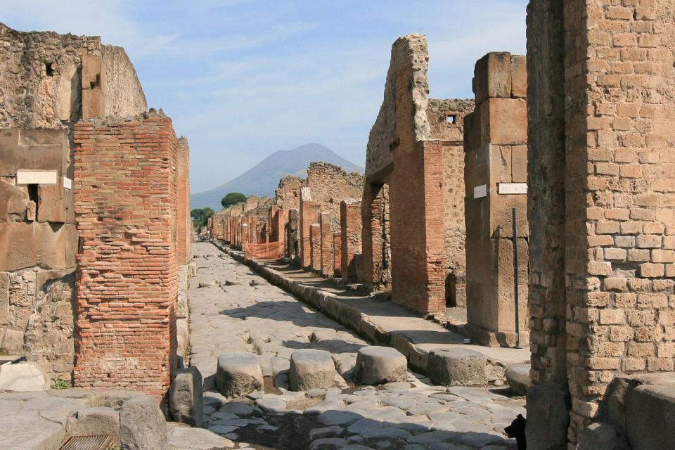 From Rome: Small-Group Pompeii & Naples Day Tour With Lunch - Itinerary