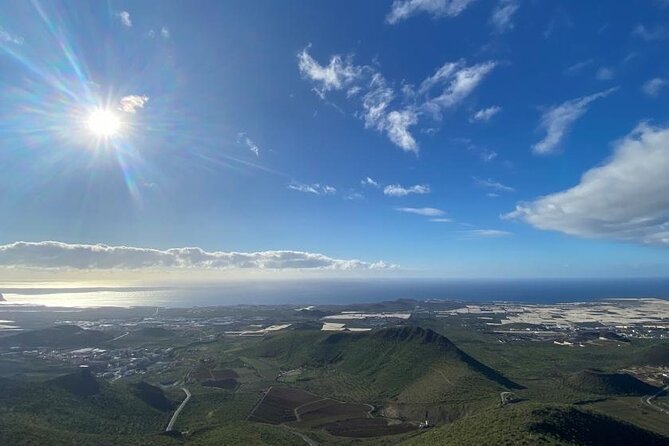 Gastro Wine Tour South Tenerife - Local Gastronomy Highlights