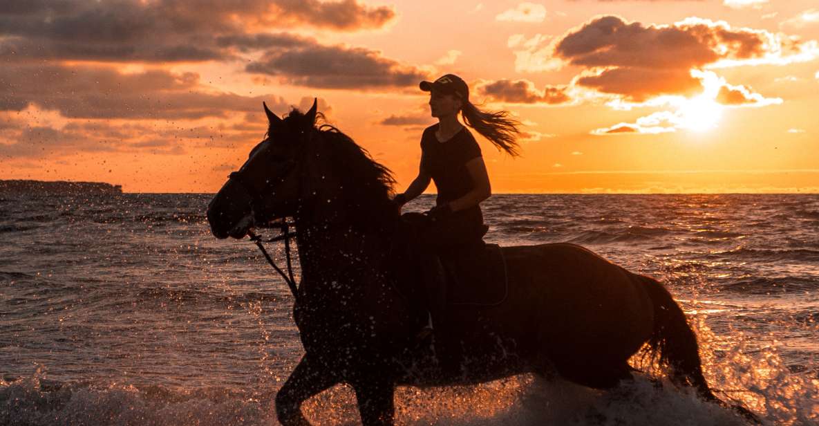 Kos: Horse Riding Experience on the Beach With Instructor - Itinerary