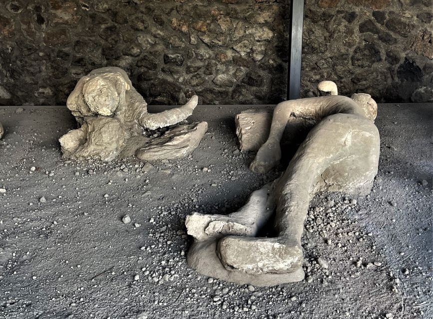 Pompeii : Theaters and the Garden of Fugitives - Garden of Fugitives Exploration