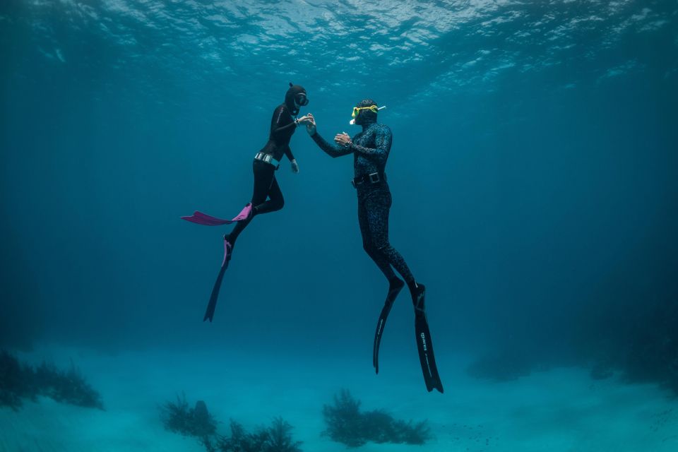 Try Free Diving in the Island of the Big Blue - Experience and Highlights