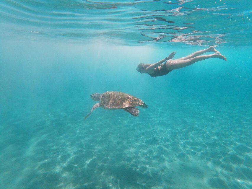 Zakynthos: Turtle Island Cruise With Swimming Stop - Booking Information