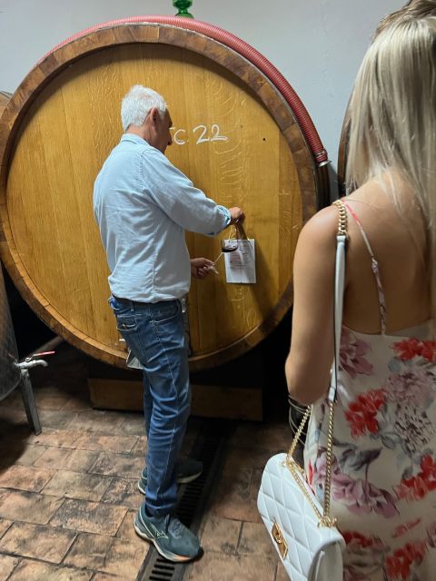 Biodynamic Chianti Wine Experience, a Day in Chianti - Highlights