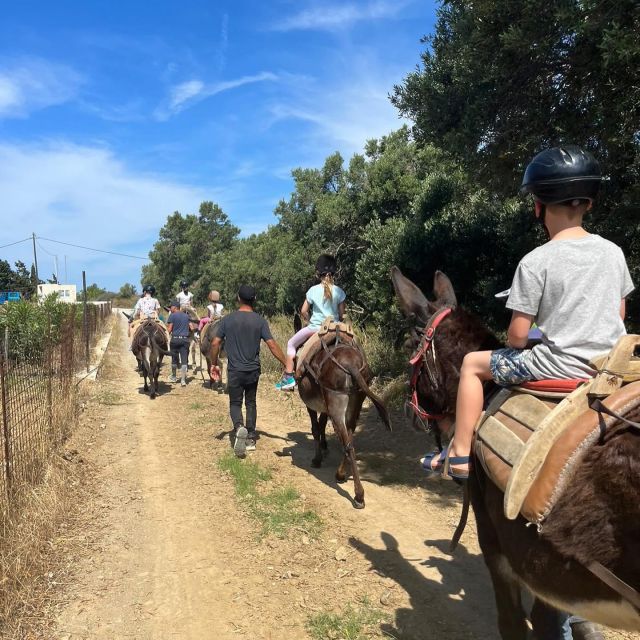 Donkey Ride - Cretan Country - Meet Friendly Donkeys