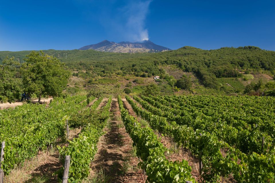 Etna Quad & Wine Combo Private Tour - Includes