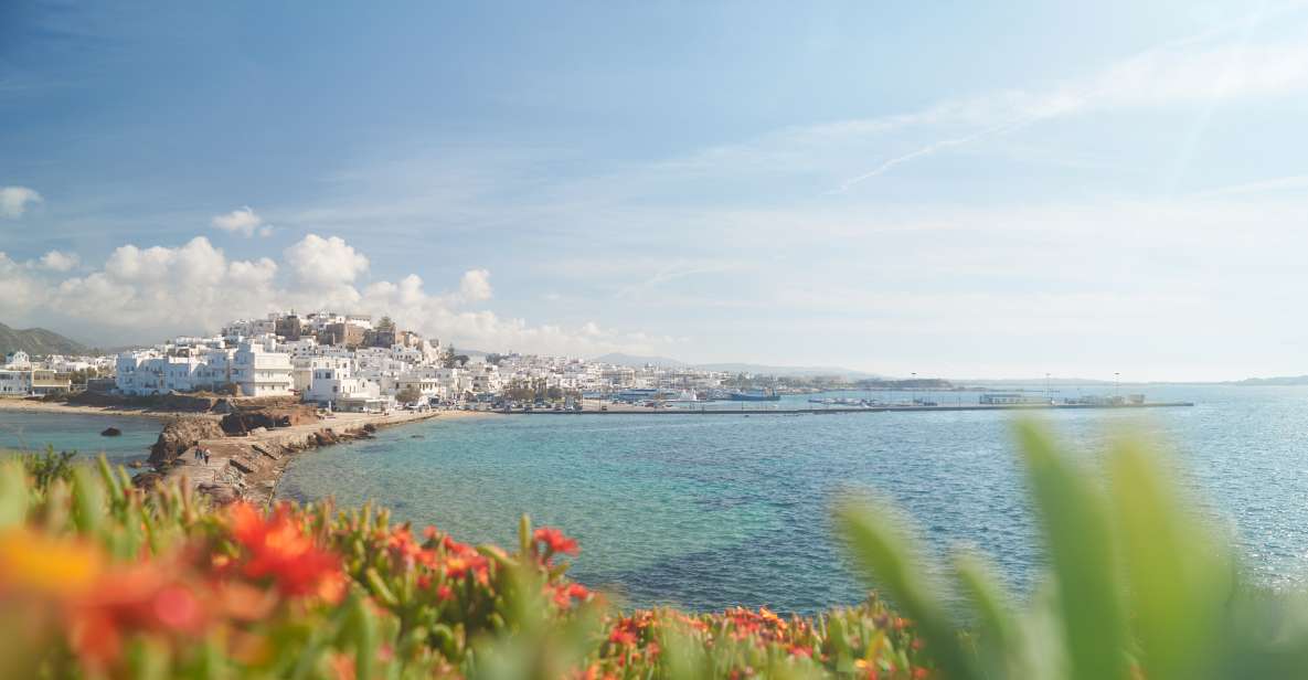 From Naxos: Delos and Mykonos Full-Day Trip by Catamaran - Transportation Details