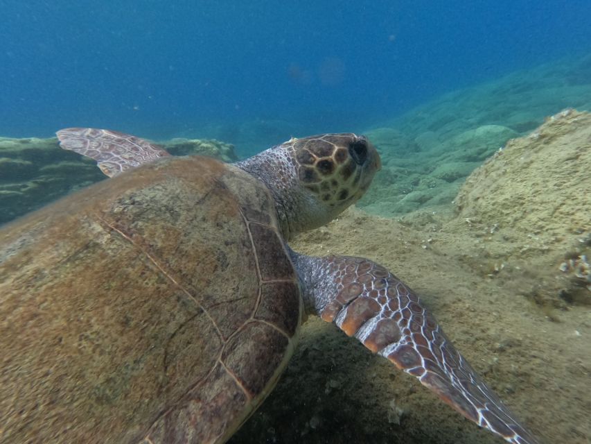 Heraklion: Beginner-Friendly Snorkeling Trip - Inclusions Provided