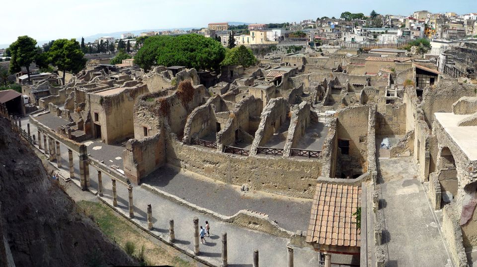 Herculaneum: 2-Hour Private Tour of the Ruins - Inclusions