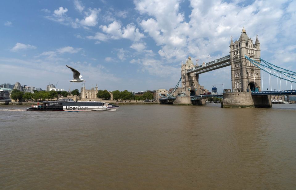 London: Uber Boat by Thames Clippers Hop-On Hop-Off Pass - Boat Features