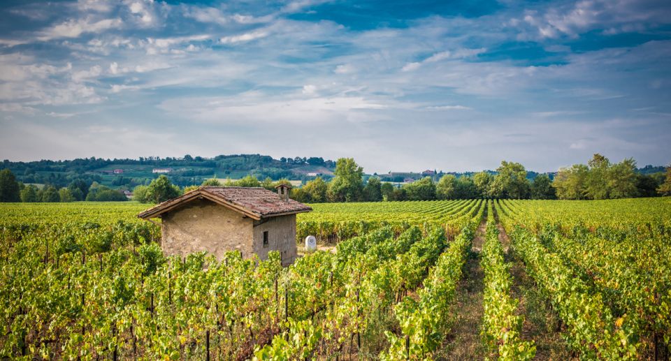 Milan: Franciacorta Winery and Bergamo Day Trip With Lunch - Inclusions and Exclusions