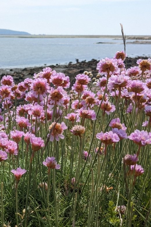 New Forest Discovery Walk (Lymington) - Highlights