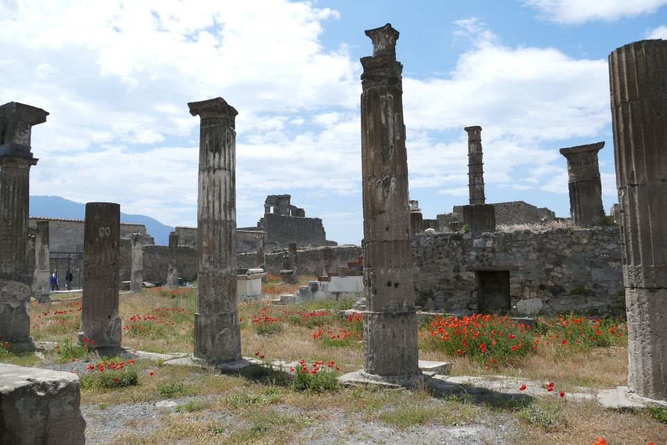 Pompeii: Private Guided Tour With Lunch - Meal Details